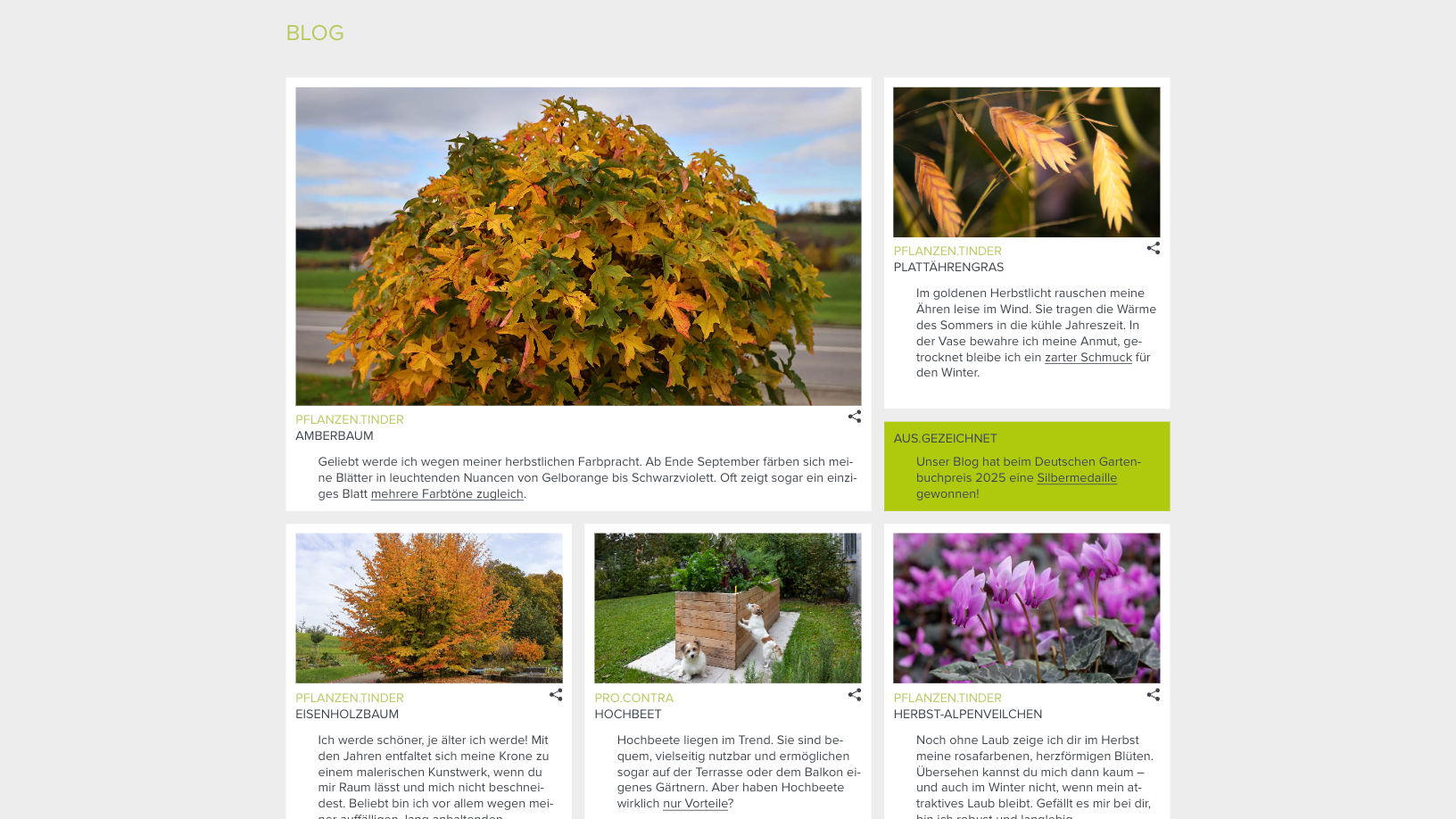 Gärtner Graf Chamäleon